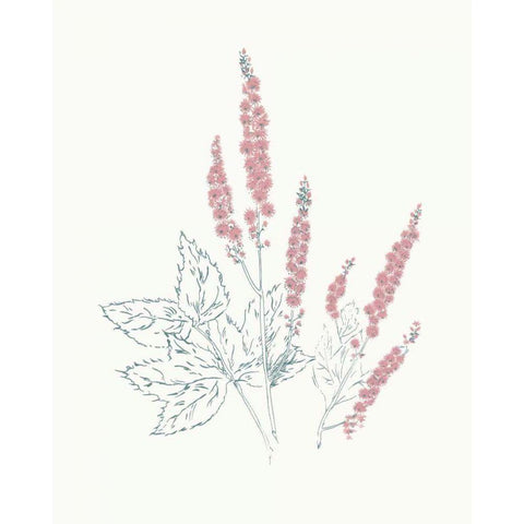 Flowers on White VII Contemporary Bright Black Modern Wood Framed Art Print with Double Matting by Wild Apple Portfolio