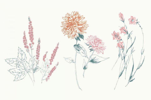 Flowers on White VIII Contemporary Bright White Modern Wood Framed Art Print with Double Matting by Wild Apple Portfolio