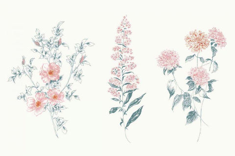 Flowers on White IX Contemporary Bright Black Ornate Wood Framed Art Print with Double Matting by Wild Apple Portfolio