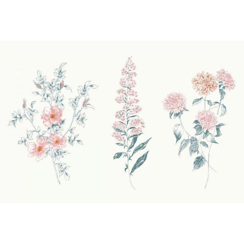 Flowers on White IX Contemporary Bright Black Modern Wood Framed Art Print by Wild Apple Portfolio