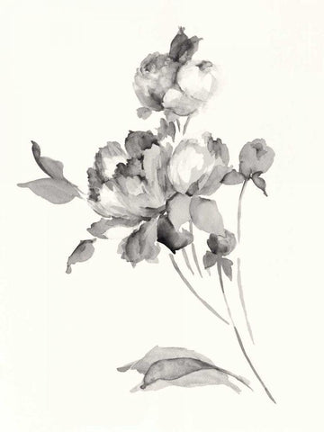 Peony Blossoms Gray Crop Black Ornate Wood Framed Art Print with Double Matting by Wild Apple Portfolio