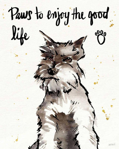 Strike a Paws XIV White Modern Wood Framed Art Print with Double Matting by Tavoletti, Anne