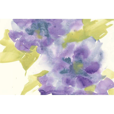 Violet and Gray II Black Modern Wood Framed Art Print with Double Matting by Paschke, Chris