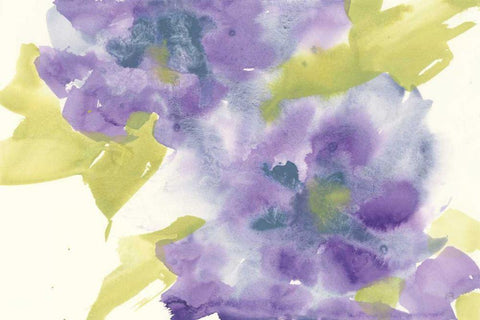 Violet and Gray II White Modern Wood Framed Art Print with Double Matting by Paschke, Chris