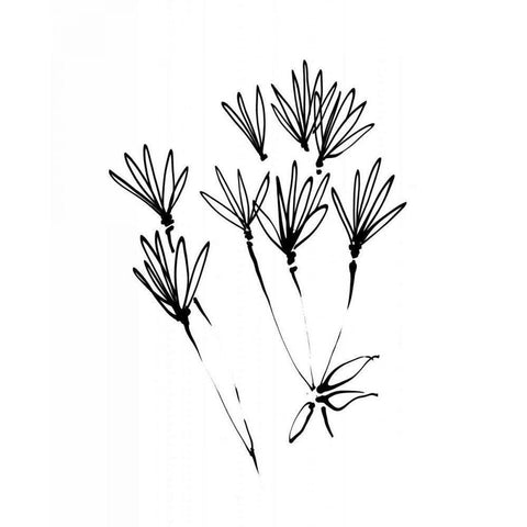 Ink Flowers 19 on White Black Modern Wood Framed Art Print with Double Matting by Tillmon, Avery