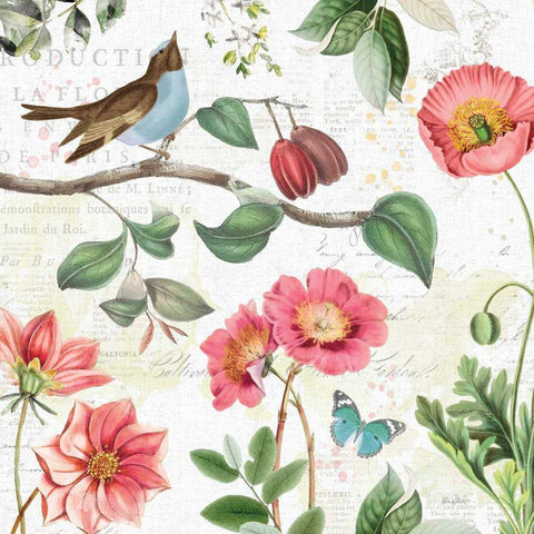 Studio Botanicals II White Modern Wood Framed Art Print by Pertiet, Katie