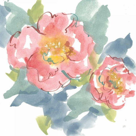 Peony in the Pink I on White Black Modern Wood Framed Art Print with Double Matting by Paschke, Chris