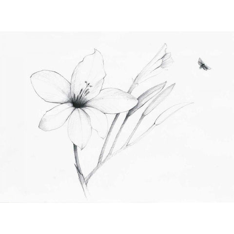 Graphite Floral II Black Modern Wood Framed Art Print with Double Matting by Tillmon, Avery