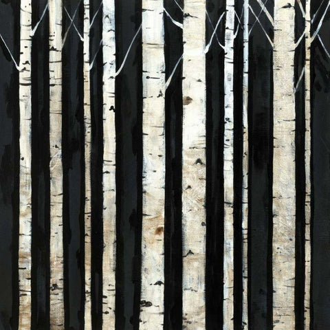 Birch Tree Square III Black Modern Wood Framed Art Print by Tillmon, Avery