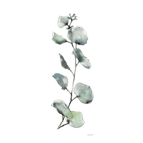 Modern Farmhouse XV on White White Modern Wood Framed Art Print by Tavoletti, Anne