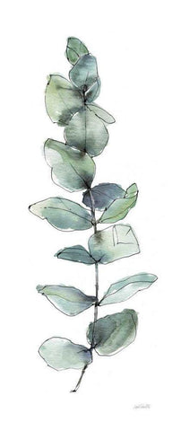 Modern Farmhouse XIV on White White Modern Wood Framed Art Print with Double Matting by Tavoletti, Anne