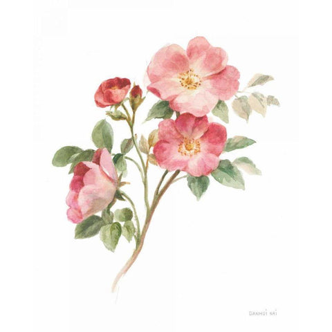 Sprigs of Summer II on White Gold Ornate Wood Framed Art Print with Double Matting by Nai, Danhui