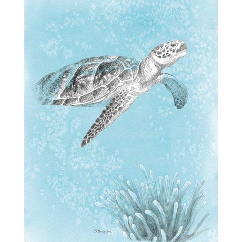 Coastal Sea Life I v2 Black Modern Wood Framed Art Print with Double Matting by Grove, Beth