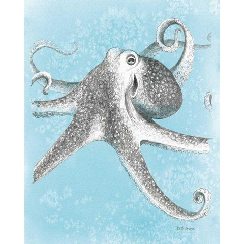 Coastal Sea Life II v2 Black Modern Wood Framed Art Print by Grove, Beth