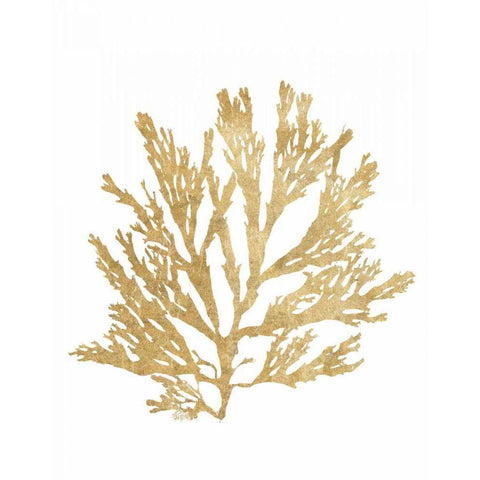 Pacific Sea Mosses I Gold White Modern Wood Framed Art Print by Wild Apple Portfolio