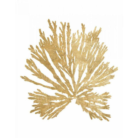 Pacific Sea Mosses II Gold White Modern Wood Framed Art Print by Wild Apple Portfolio