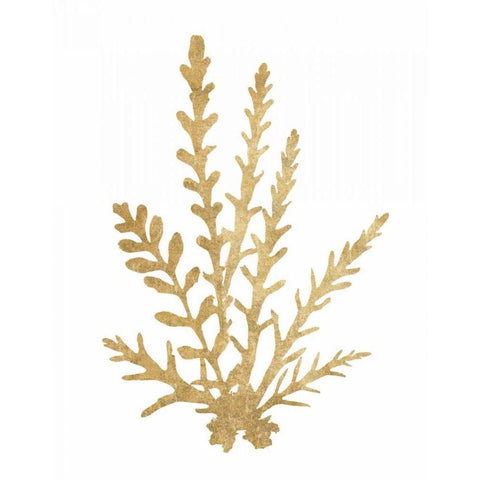 Pacific Sea Mosses III Gold White Modern Wood Framed Art Print by Wild Apple Portfolio