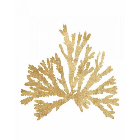 Pacific Sea Mosses IV Gold Gold Ornate Wood Framed Art Print with Double Matting by Wild Apple Portfolio