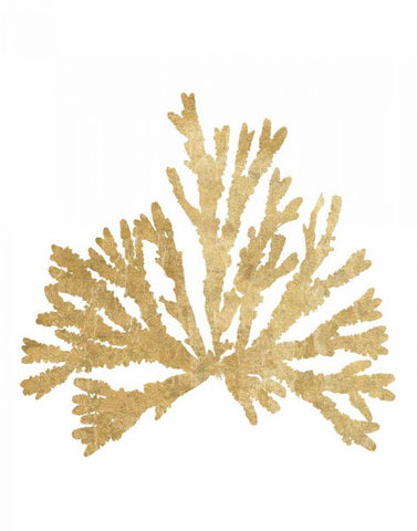 Pacific Sea Mosses IV Gold White Modern Wood Framed Art Print with Double Matting by Wild Apple Portfolio