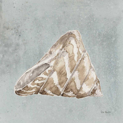 Sand and Seashells IV Left White Modern Wood Framed Art Print with Double Matting by Audit, Lisa