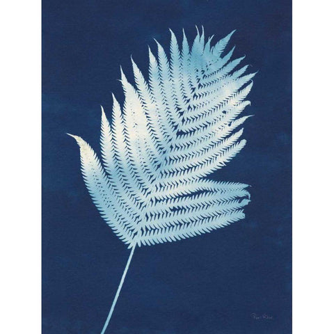 Nature By The Lake - Ferns III Black Modern Wood Framed Art Print with Double Matting by Rhue, Piper