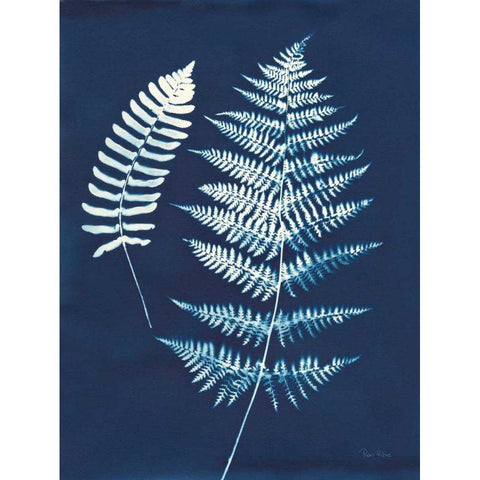 Nature By The Lake - Ferns V Black Modern Wood Framed Art Print with Double Matting by Rhue, Piper