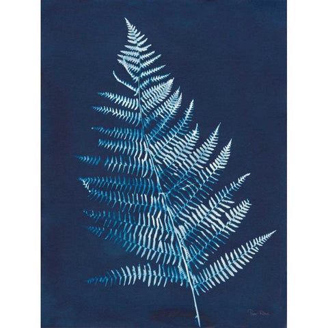 Nature By The Lake - Ferns VI Black Modern Wood Framed Art Print by Rhue, Piper