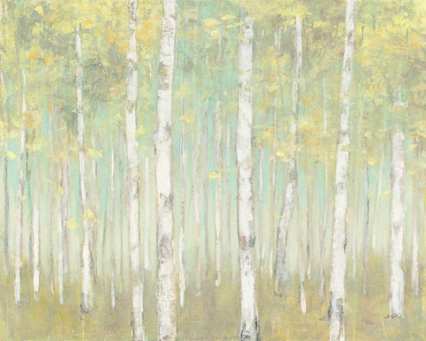 Sylvan Birches White Modern Wood Framed Art Print with Double Matting by Purinton, Julia