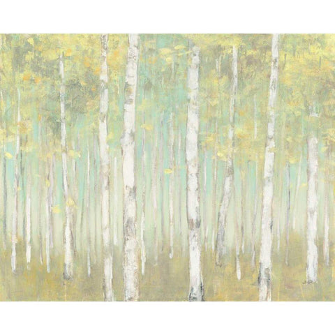 Sylvan Birches White Modern Wood Framed Art Print by Purinton, Julia