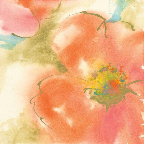 Coral Poppy I Black Modern Wood Framed Art Print by Paschke, Chris