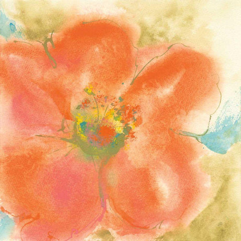 Coral Poppy II White Modern Wood Framed Art Print with Double Matting by Paschke, Chris