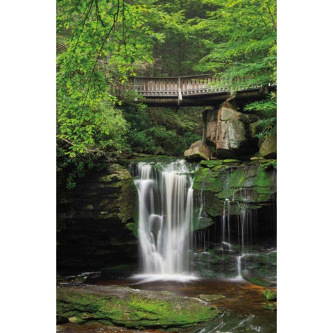 Elakala Falls West II Gold Ornate Wood Framed Art Print with Double Matting by Majchrowicz, Alan