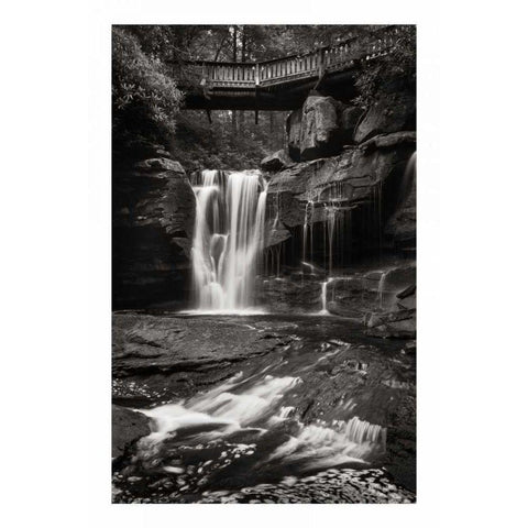 Elakala Falls West I BW Gold Ornate Wood Framed Art Print with Double Matting by Majchrowicz, Alan