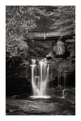 Elakala Falls West II BW Black Ornate Wood Framed Art Print with Double Matting by Majchrowicz, Alan