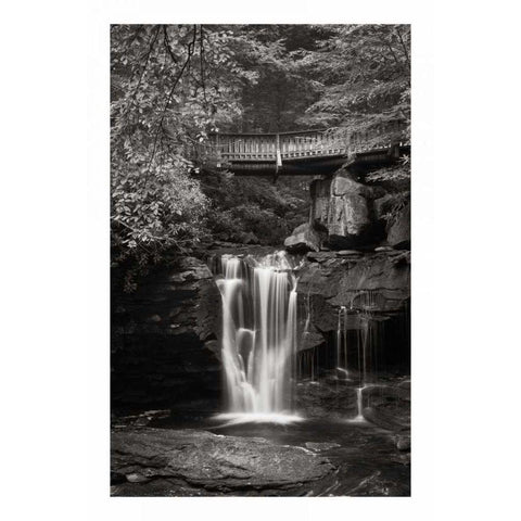 Elakala Falls West II BW Black Modern Wood Framed Art Print by Majchrowicz, Alan