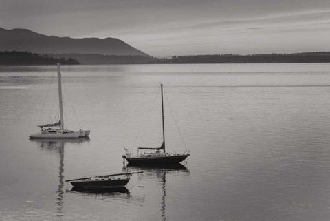 Bellingham Bay BW Black Ornate Wood Framed Art Print with Double Matting by Majchrowicz, Alan