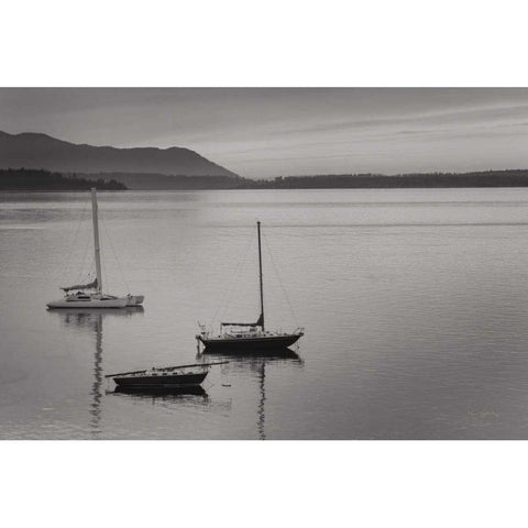 Bellingham Bay BW Gold Ornate Wood Framed Art Print with Double Matting by Majchrowicz, Alan