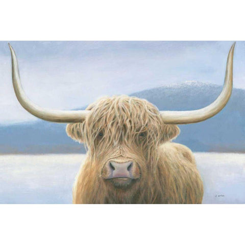 Highland Cow White Modern Wood Framed Art Print by Wiens, James