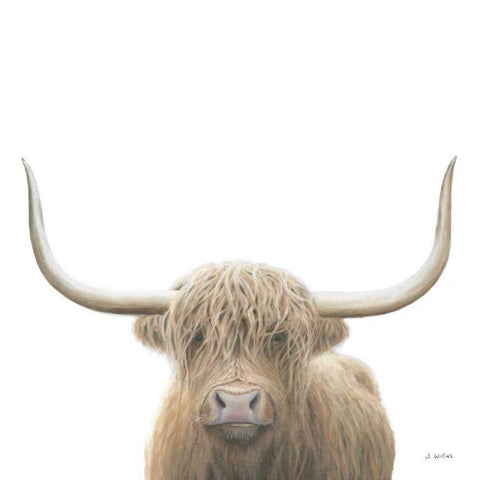 Highland Cow Sepia Sq White Modern Wood Framed Art Print with Double Matting by Wiens, James