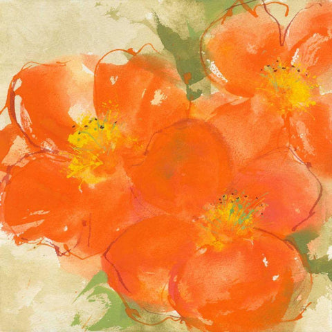 Tangerine Poppies II White Modern Wood Framed Art Print with Double Matting by Paschke, Chris