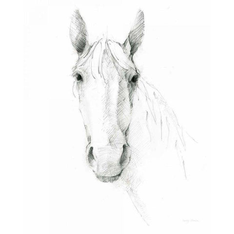 Horse Sketch White Modern Wood Framed Art Print by Tillmon, Avery