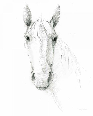 Horse Sketch White Modern Wood Framed Art Print with Double Matting by Tillmon, Avery