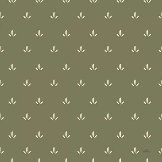 Image Only