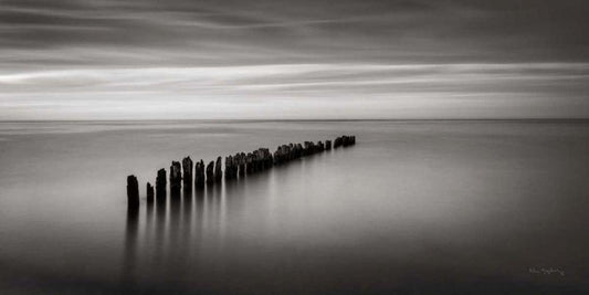 Image Only