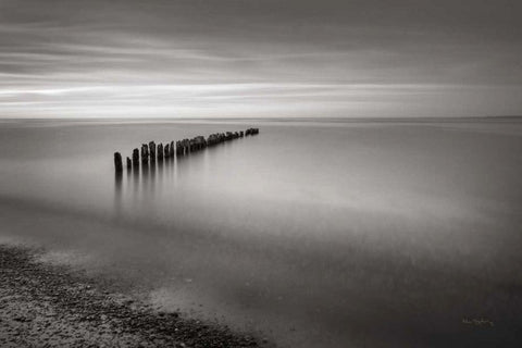 Lake Superior Old Pier V Black Ornate Wood Framed Art Print with Double Matting by Majchrowicz, Alan