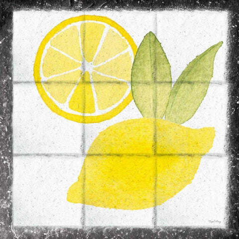 Citrus Tile VI Black Border Black Ornate Wood Framed Art Print with Double Matting by DeNeige, Elyse