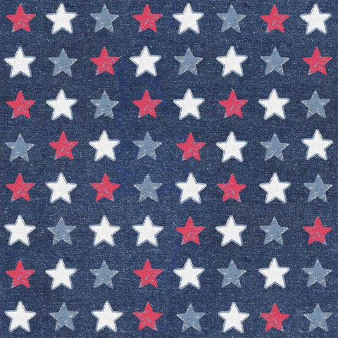 Patriotic Dark Pattern IIB Black Ornate Wood Framed Art Print with Double Matting by Grove, Beth