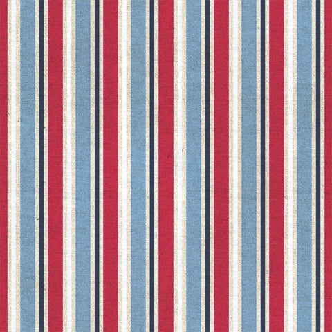 Patriotic Dark Pattern III White Modern Wood Framed Art Print with Double Matting by Grove, Beth