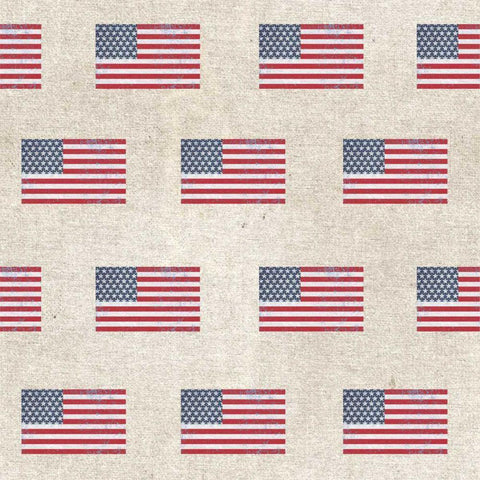 Patriotic Dark Pattern V Black Ornate Wood Framed Art Print with Double Matting by Grove, Beth