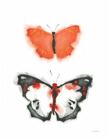 Watercolor Butterflies III White Modern Wood Framed Art Print with Double Matting by Novak, Shirley